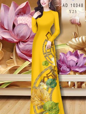 1607243974 775 vai ao dai dep (16)